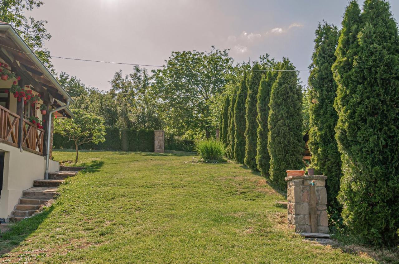 Apartmani Lunija Gornji Milanovac Exterior foto