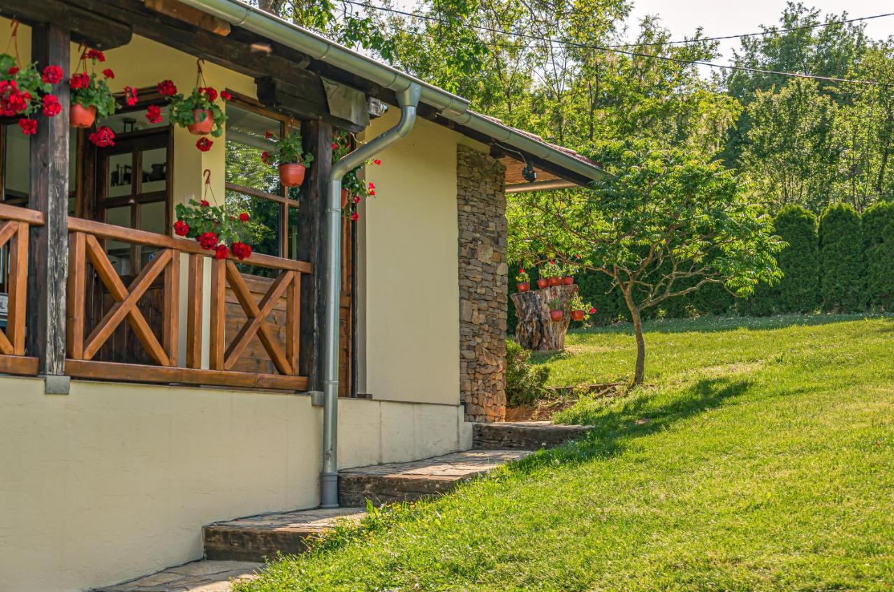Apartmani Lunija Gornji Milanovac Exterior foto