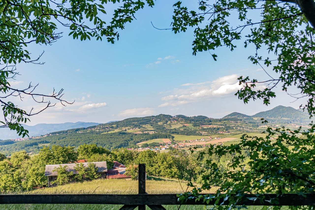 Apartmani Lunija Gornji Milanovac Exterior foto