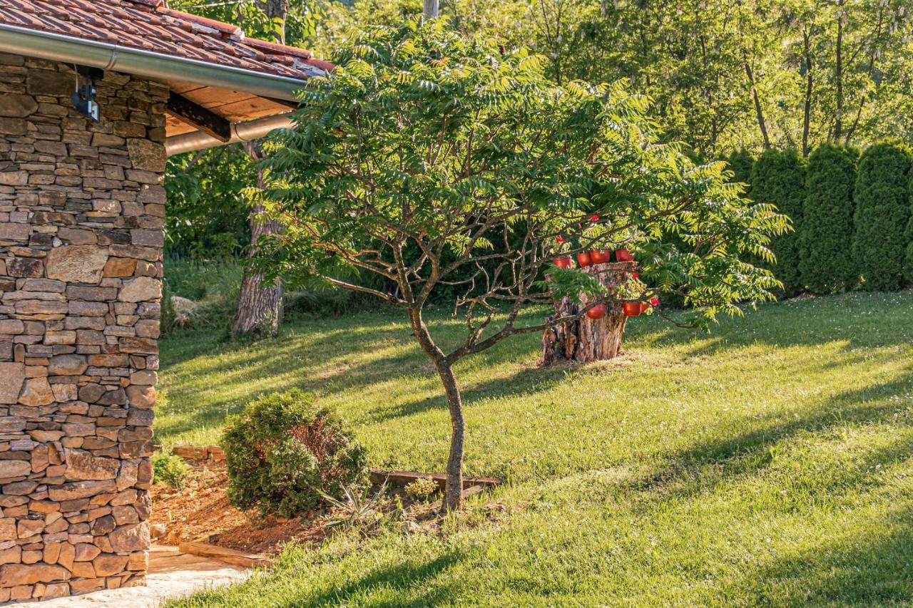 Apartmani Lunija Gornji Milanovac Exterior foto