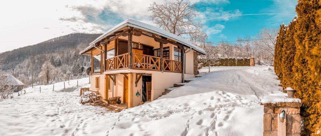 Apartmani Lunija Gornji Milanovac Exterior foto