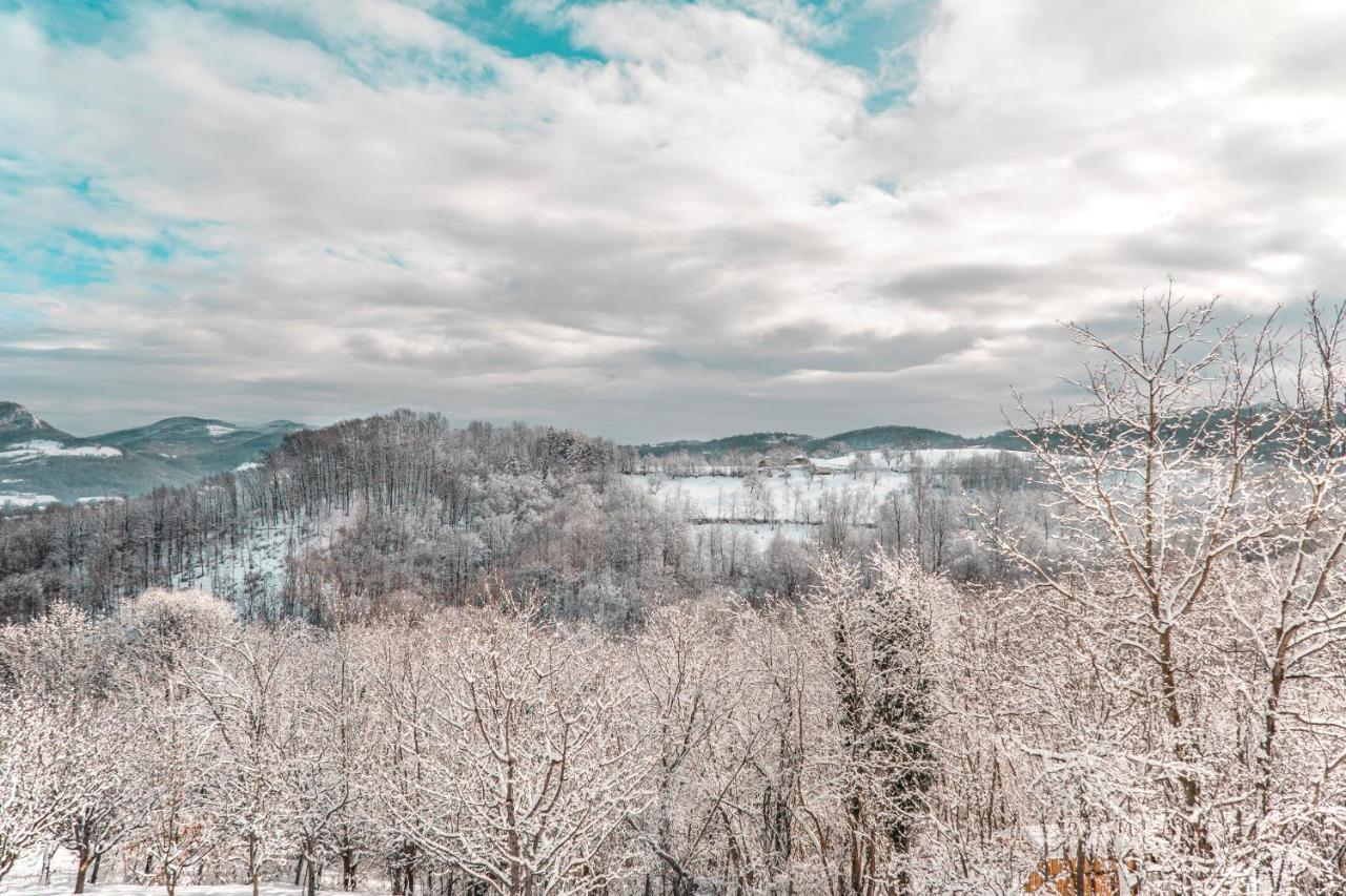 Apartmani Lunija Gornji Milanovac Exterior foto